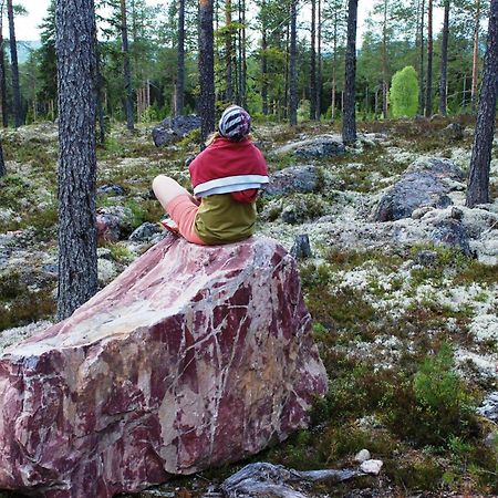 12 - Fulufjellets Nasjonalparker - Natur-, Dyre- Og Fugleopplevelser Ljørdal Екстериор снимка