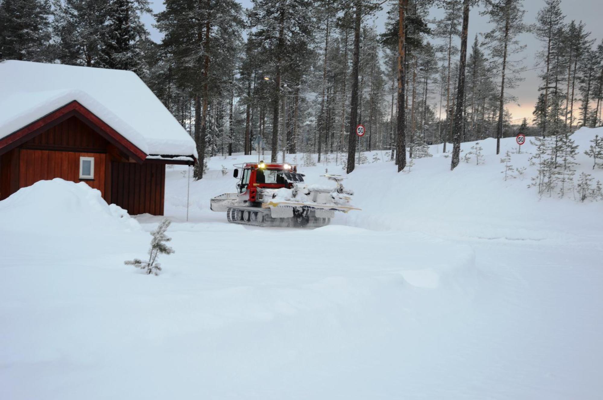 12 - Fulufjellets Nasjonalparker - Natur-, Dyre- Og Fugleopplevelser Ljørdal Екстериор снимка