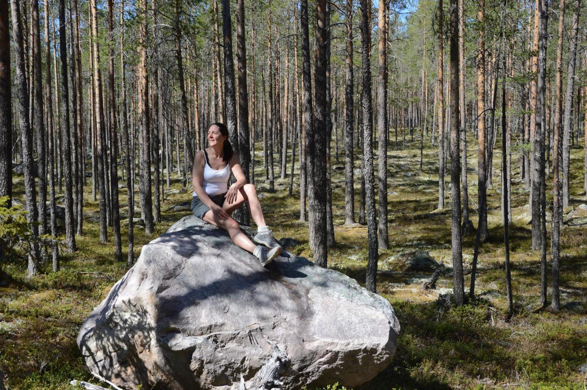 12 - Fulufjellets Nasjonalparker - Natur-, Dyre- Og Fugleopplevelser Ljørdal Екстериор снимка