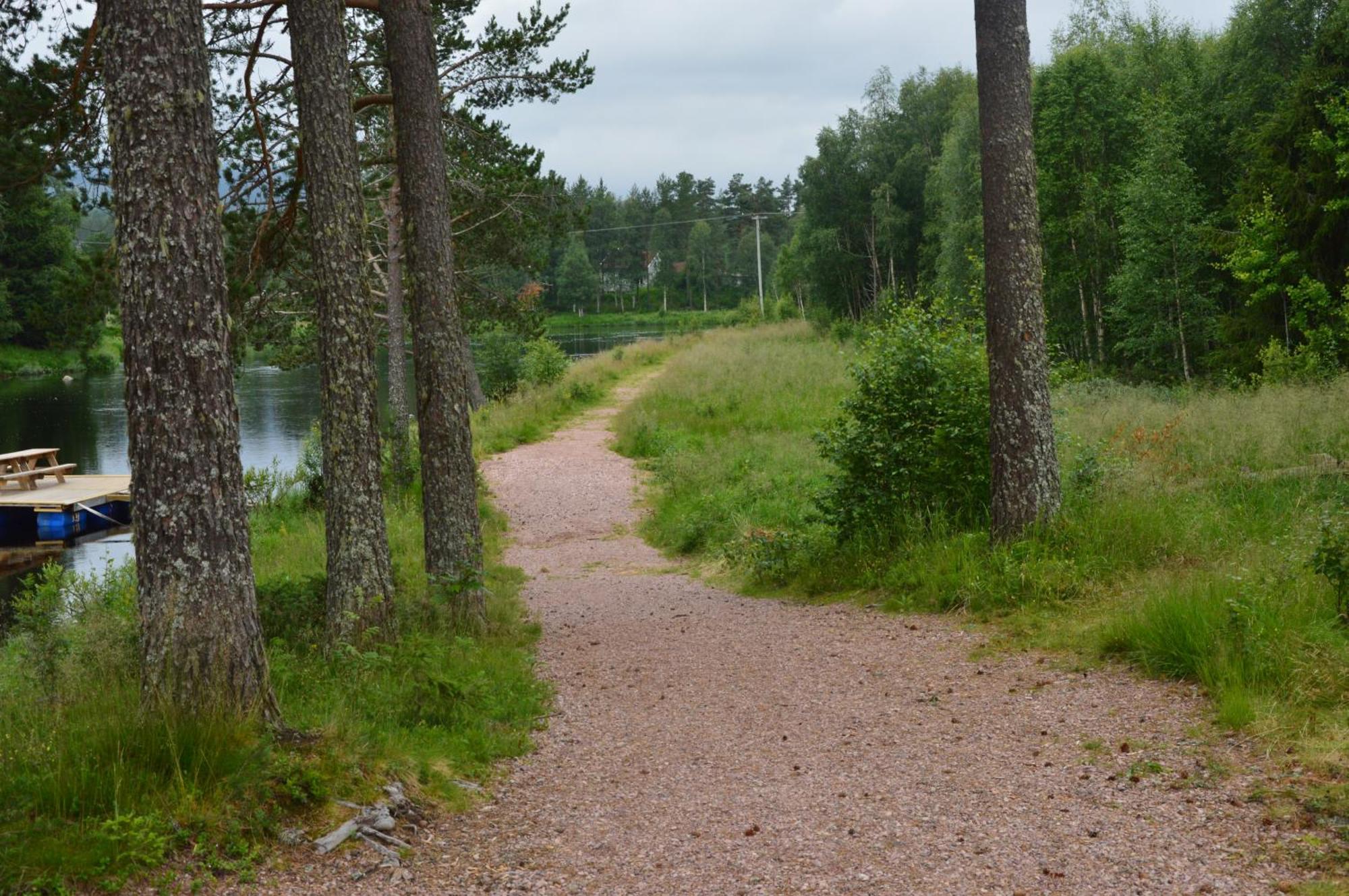 12 - Fulufjellets Nasjonalparker - Natur-, Dyre- Og Fugleopplevelser Ljørdal Екстериор снимка