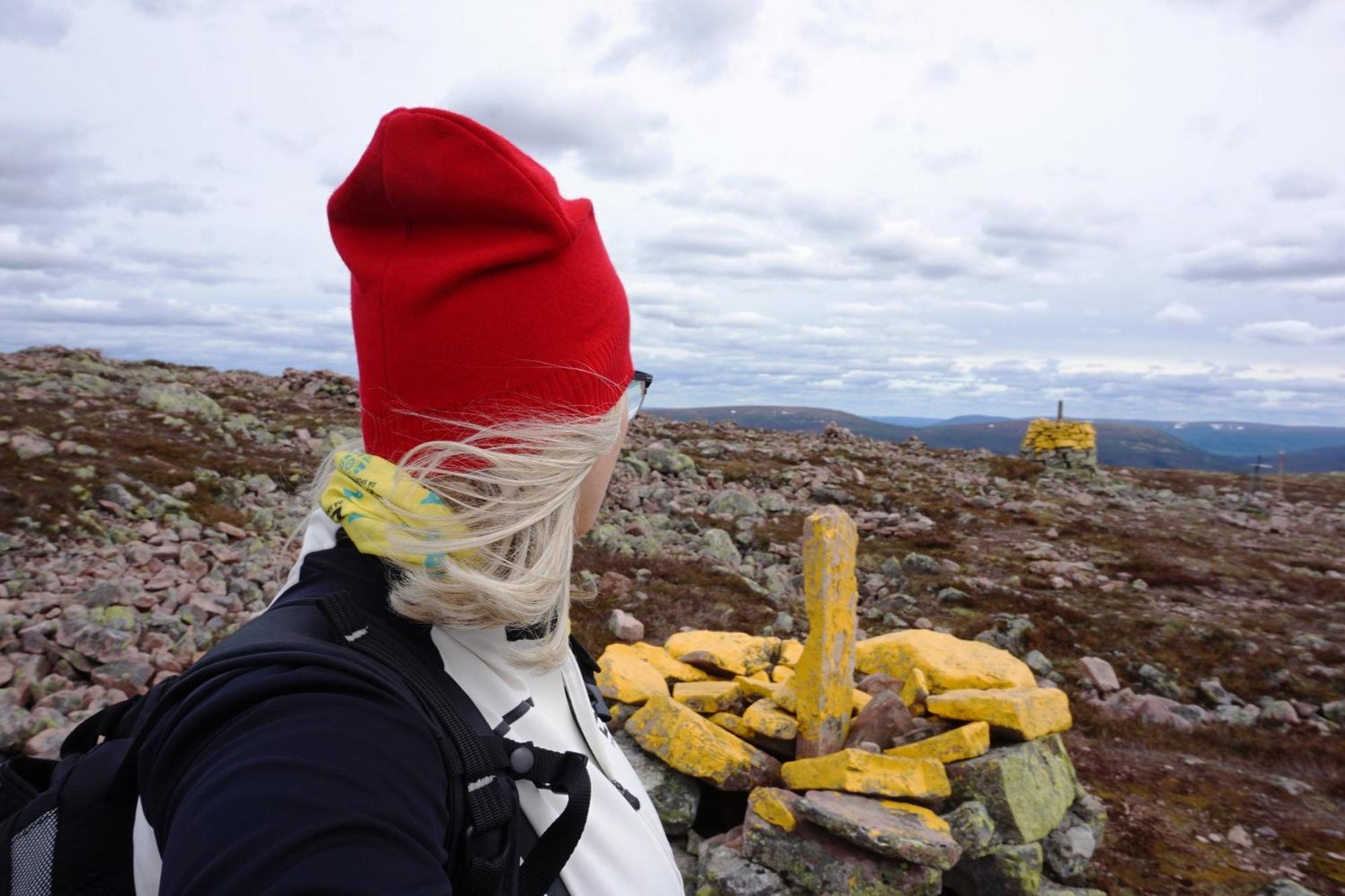 12 - Fulufjellets Nasjonalparker - Natur-, Dyre- Og Fugleopplevelser Ljørdal Екстериор снимка