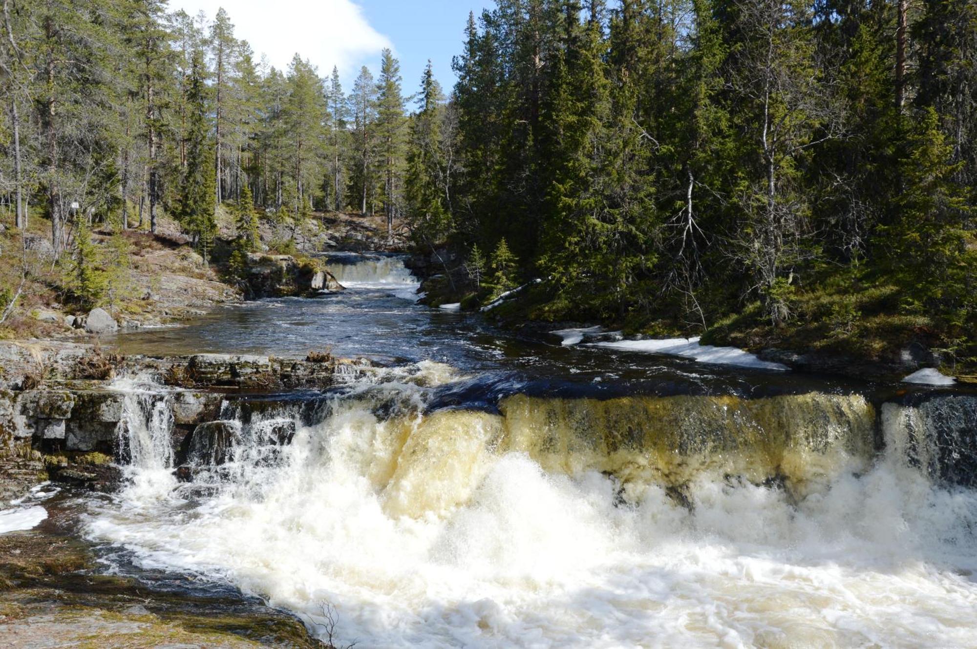 12 - Fulufjellets Nasjonalparker - Natur-, Dyre- Og Fugleopplevelser Ljørdal Екстериор снимка