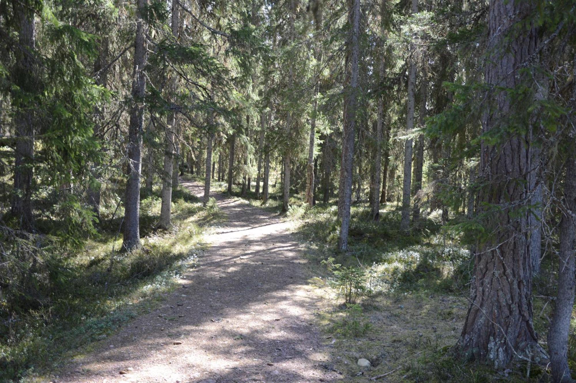 12 - Fulufjellets Nasjonalparker - Natur-, Dyre- Og Fugleopplevelser Ljørdal Екстериор снимка