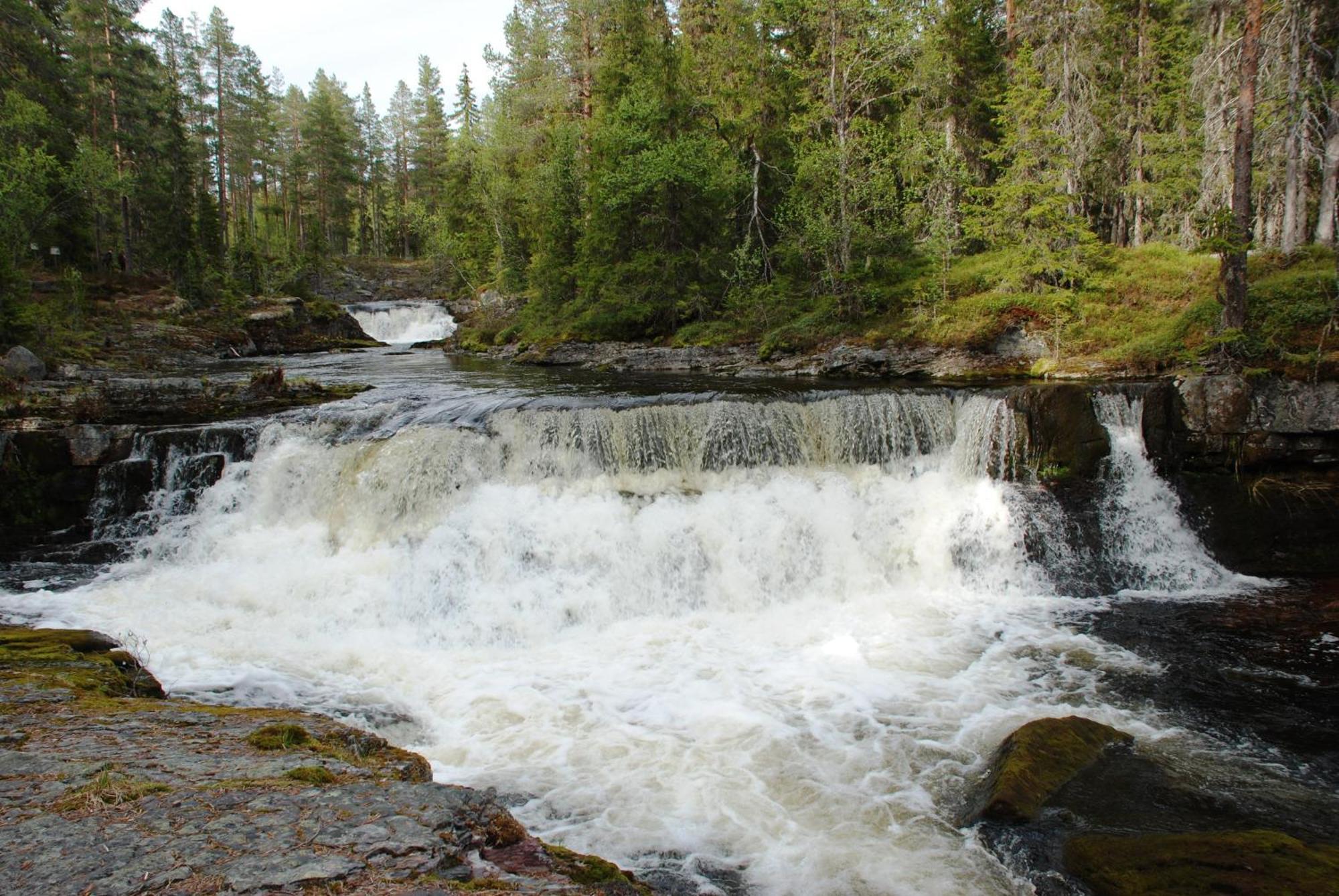 12 - Fulufjellets Nasjonalparker - Natur-, Dyre- Og Fugleopplevelser Ljørdal Екстериор снимка