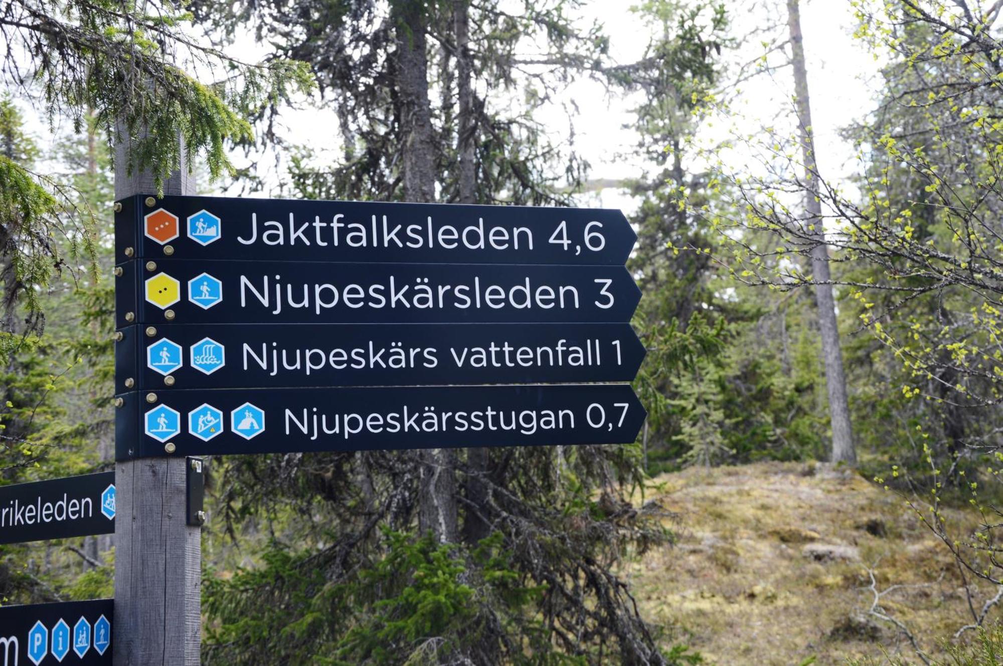 12 - Fulufjellets Nasjonalparker - Natur-, Dyre- Og Fugleopplevelser Ljørdal Екстериор снимка