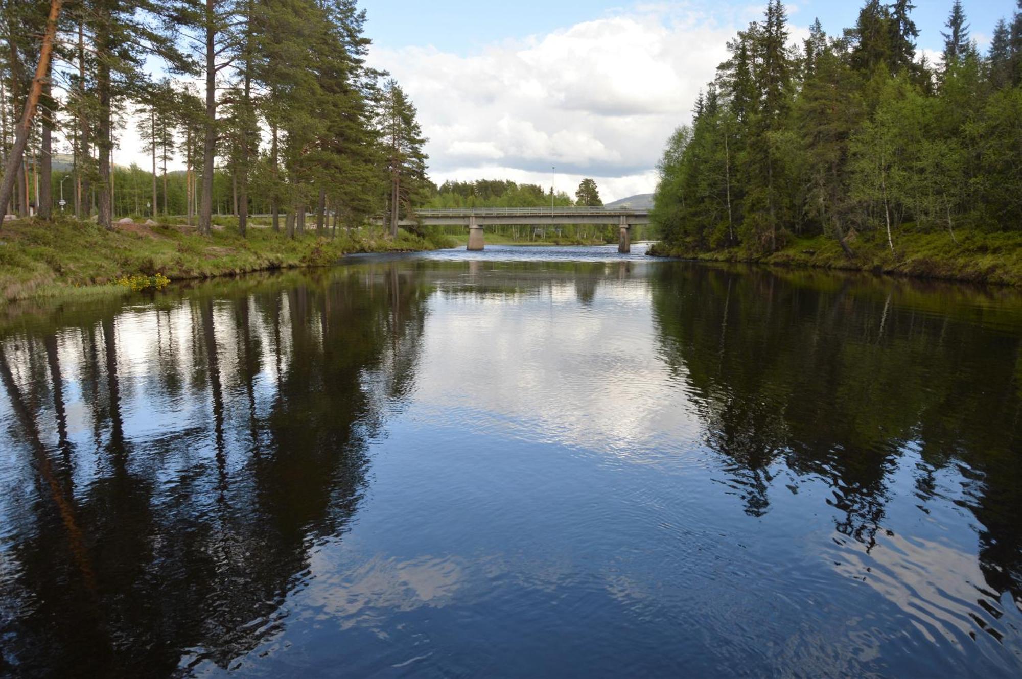 12 - Fulufjellets Nasjonalparker - Natur-, Dyre- Og Fugleopplevelser Ljørdal Екстериор снимка